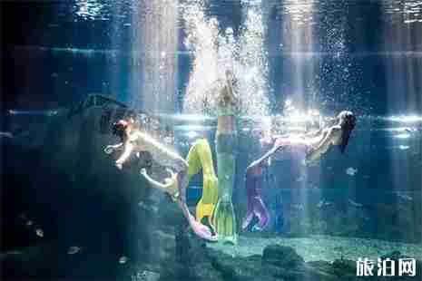 福州罗源湾海洋世界周边吃喝玩乐的地方 福州罗源湾海洋世界周边吃喝玩乐的地方