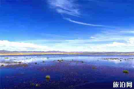 若尔盖草原赏花攻略 几月份去好