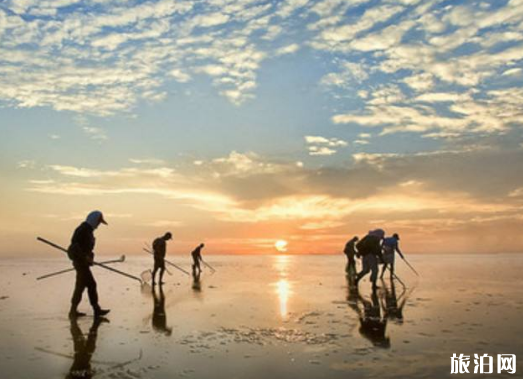 大连哪里可以赶海捉海鲜