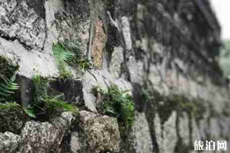 忘不了餐厅在深圳哪里+拍摄地介绍