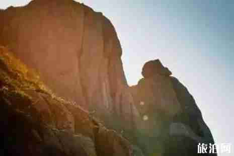 花鳥島有哪些景點