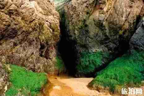 花鳥島有哪些景點