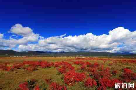 云南最佳旅游季節(jié)是幾月份