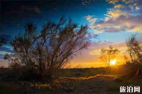 2019六一兒童節石河子駝鈴夢坡景區活動信息