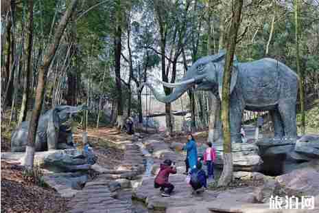 六月亲子游适合去哪里+攻略 六月亲子游适合去哪里+攻略