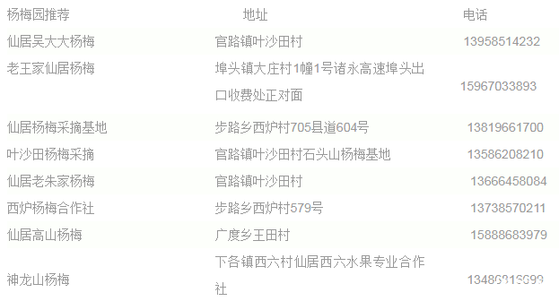 2019宁波杨梅采摘基地推荐+最佳采摘时间+交通