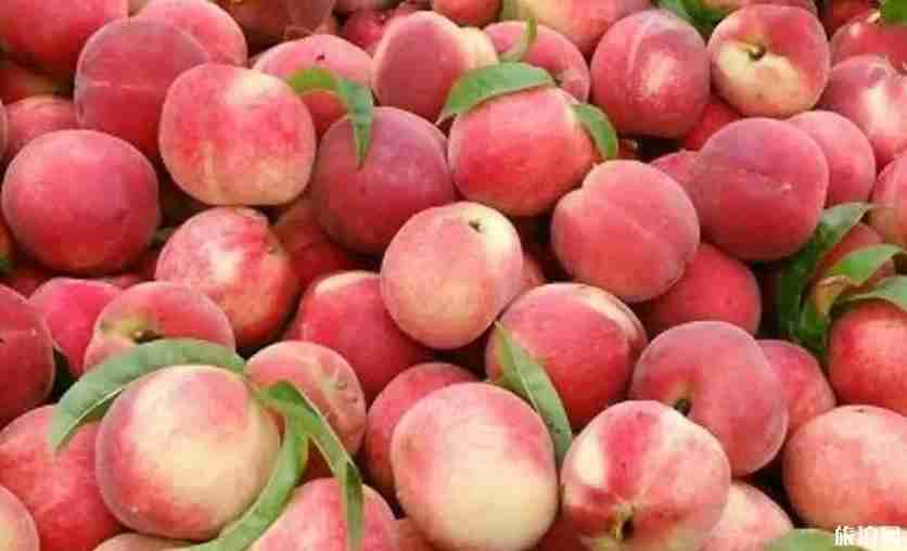 2019重庆桃子采摘时间+地址+价格