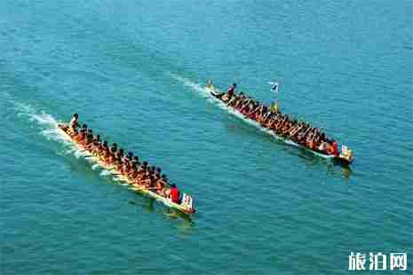 2019广东顺德杏坛龙舟活动信息汇总