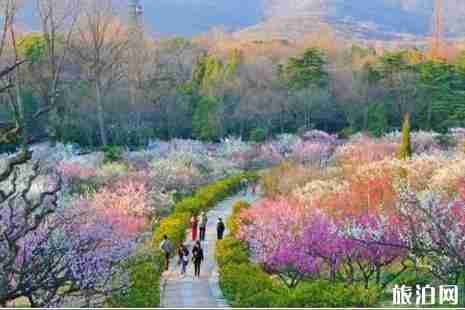 2019南京六月賞花攻略（地址+門票）