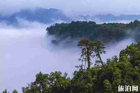 2019六一儿童节南宁大明山活动信息 2019六一儿童节南宁大明山活动信息
