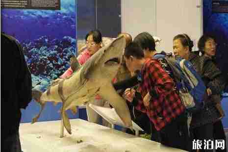 长三角九城市名单+旅游景点优惠政策 长三角九城市名单+旅游景点优惠政策