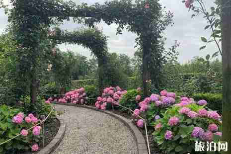 2019年五月双流赏花的地方有哪些 2019年五月双流赏花的地方有哪些