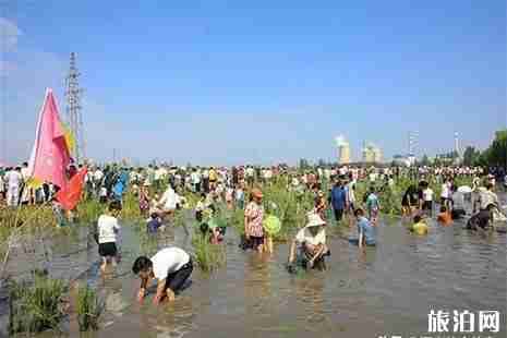 2019河南信阳摸鱼节6月1日开启 2019河南信阳摸鱼节6月1日开启