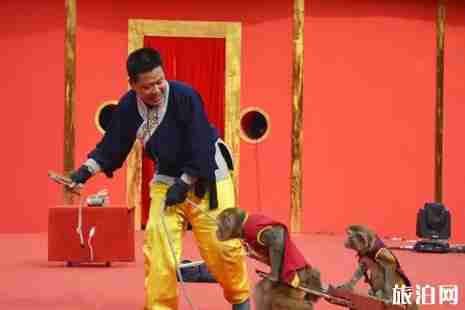 2019年六一万岁山好玩吗+有哪些活动