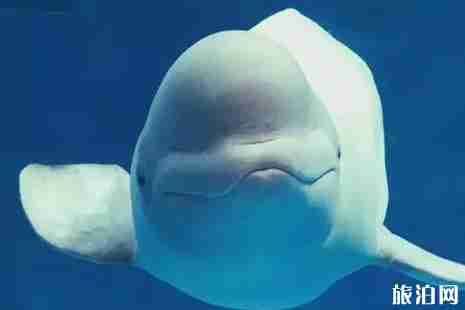 陕西亲子游适合去哪里