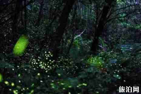 成都避暑胜地有哪些+攻略