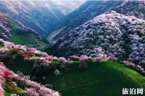 2019端午节旅游景点推荐 2019端午节旅游景点推荐