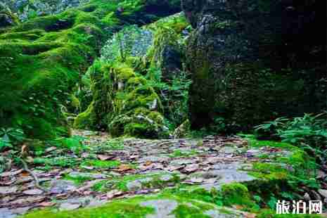 2019年四川六月旅游景点推荐 2019年四川六月旅游景点推荐