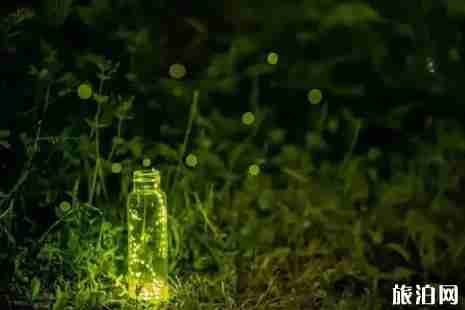 2019年四川六月旅游景点推荐