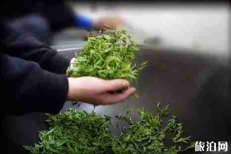 2019济南灵岩寺端午祈福活动攻略 2019济南灵岩寺端午祈福活动攻略