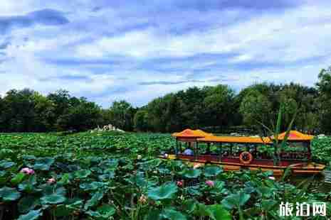 2019圆明园免费开放日+游玩攻略