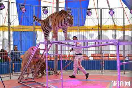 2019日照端午节活动内容汇总