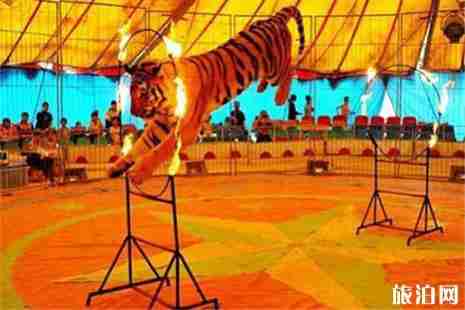 2019日照端午节活动内容汇总