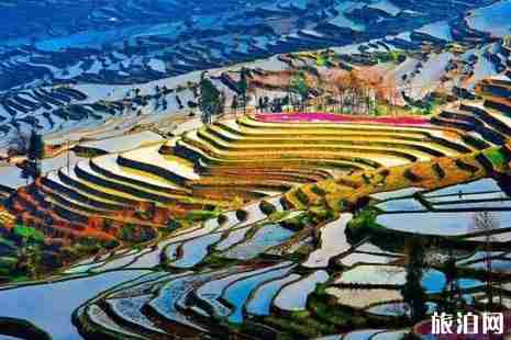 暑假自駕游線路推薦 暑假自駕游線路推薦