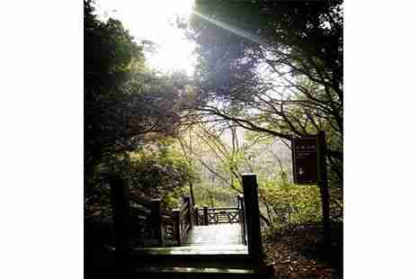 2019白马涧龙池景区茉莉花节6月7日至7月15日 2019白马涧龙池景区茉莉花节6月7日至7月15日