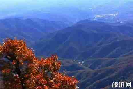 2019高考準(zhǔn)考證能夠優(yōu)惠的河南景區(qū)信息匯總