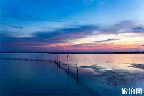 武漢梁子湖薰衣草莊園賞薰衣草指南 花期+地點(diǎn)+路線