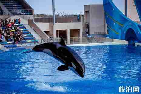 2019上海海昌海洋公園中高考生優惠信息匯總 2019上海海昌海洋公園中高考生優惠信息匯總