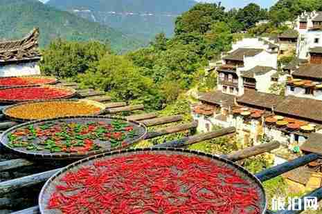 2019中高考準(zhǔn)考證婺源篁嶺景區(qū)優(yōu)惠信息