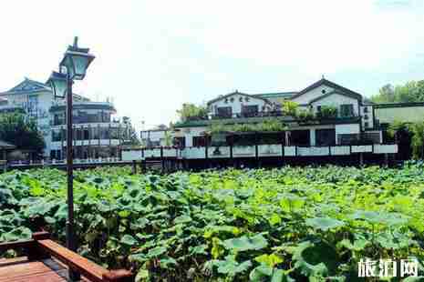福州哪里荷花好看+怎么去 福州哪里荷花好看+怎么去