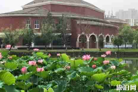 福州哪里荷花好看+怎么去 福州哪里荷花好看+怎么去