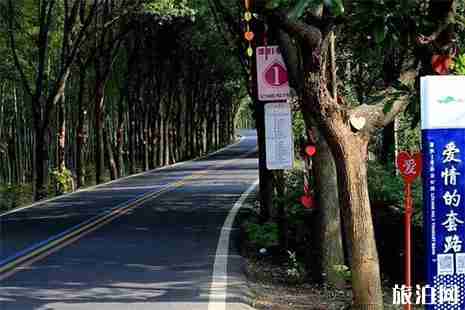 溧陽1號旅游公路游玩路線推薦