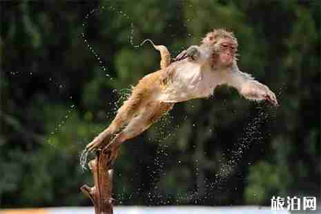 2019高考準考證南寧龍虎山風景區免票游玩信息