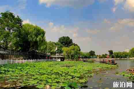 什剎海荷花什么時候開+觀賞攻略