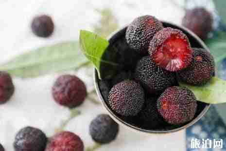 2019温州杨梅采摘基地地址+最佳采摘时间+价格 2019温州杨梅采摘基地地址+最佳采摘时间+价格