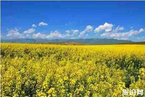 2019夏季新疆旅游景点推荐