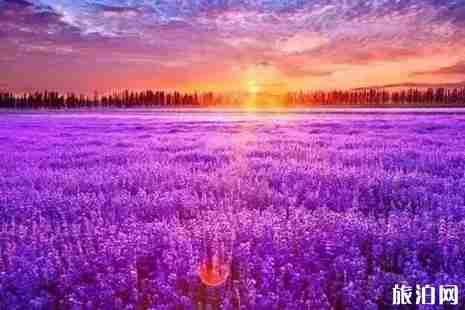 2019夏季新疆旅游景点推荐