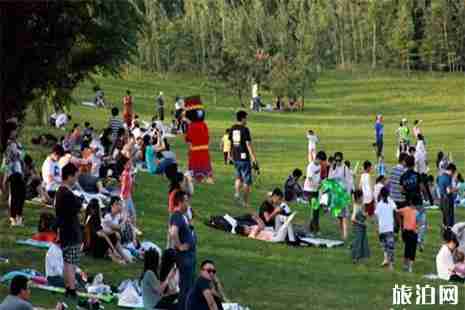 2019白鹭湾星空露营节6月15日开启 2019白鹭湾星空露营节6月15日开启