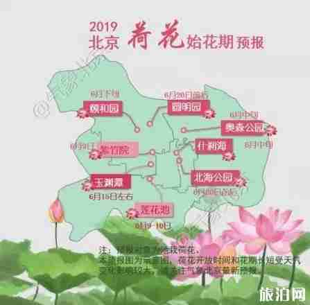2019北京荷花幾月開(kāi)+地址+開(kāi)放時(shí)間+門票
