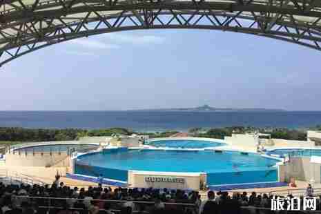 暑假海島游適合孩子去的推薦