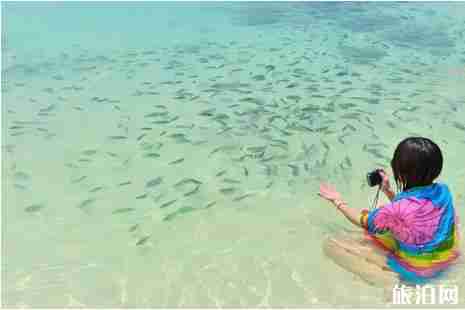 暑假海島游適合孩子去的推薦 暑假海島游適合孩子去的推薦