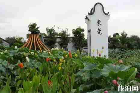 2019東莞橋頭荷花節周六開幕 附活動信息 2019東莞橋頭荷花節周六開幕 附活動信息