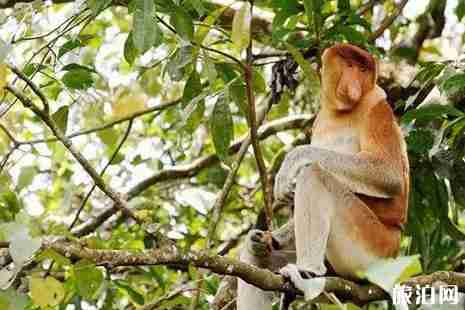 暑假海島游適合孩子去的推薦 暑假海島游適合孩子去的推薦