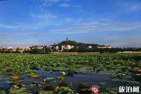 2019遂寧觀音湖荷花節(jié)7月2日開(kāi)啟