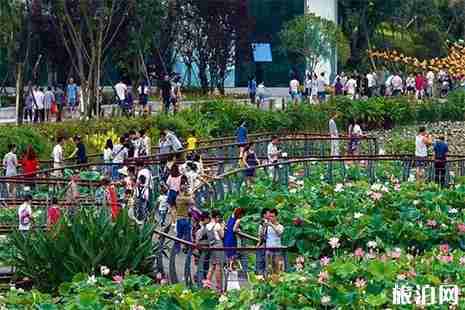 遂寧觀賞荷花的地方