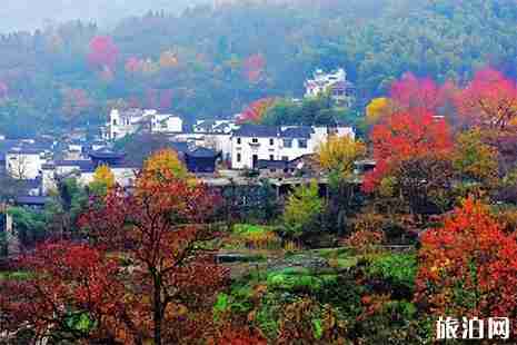 2019高考準考證安徽黟縣景區優惠信息